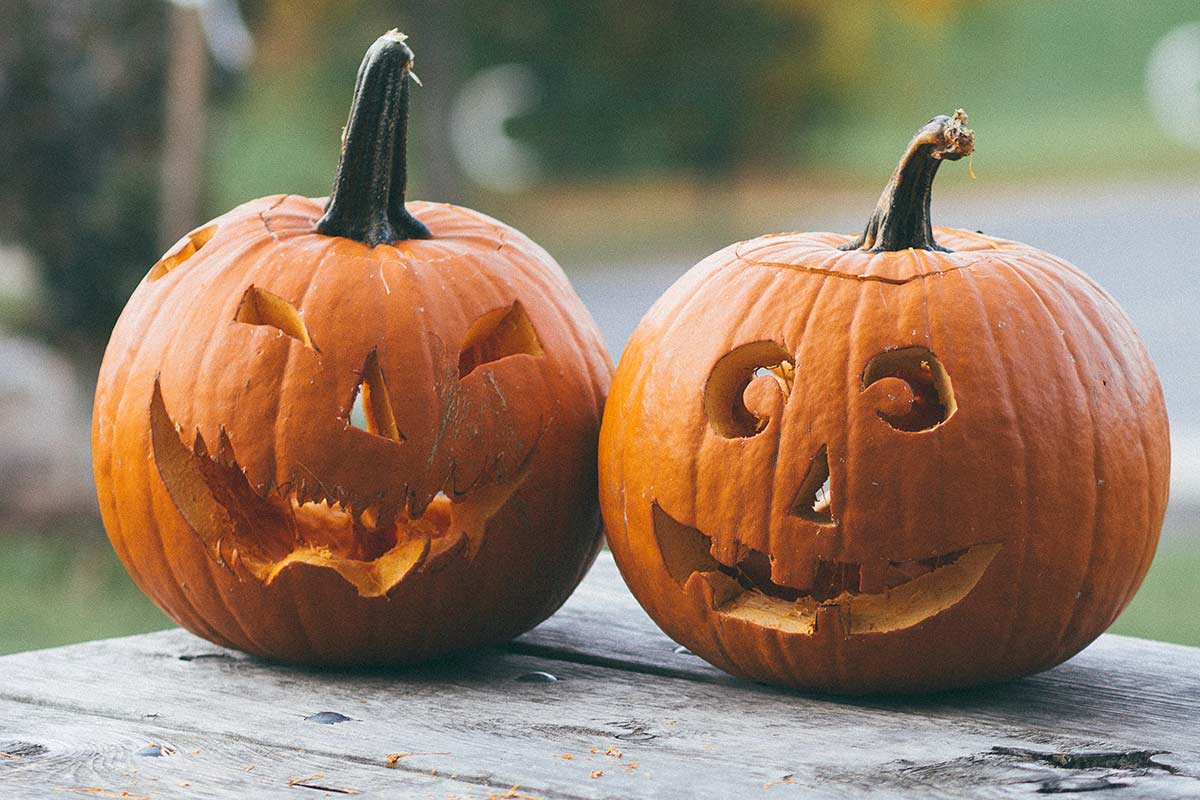 Kuvassa on kaksi halloween-kurpitsaa
