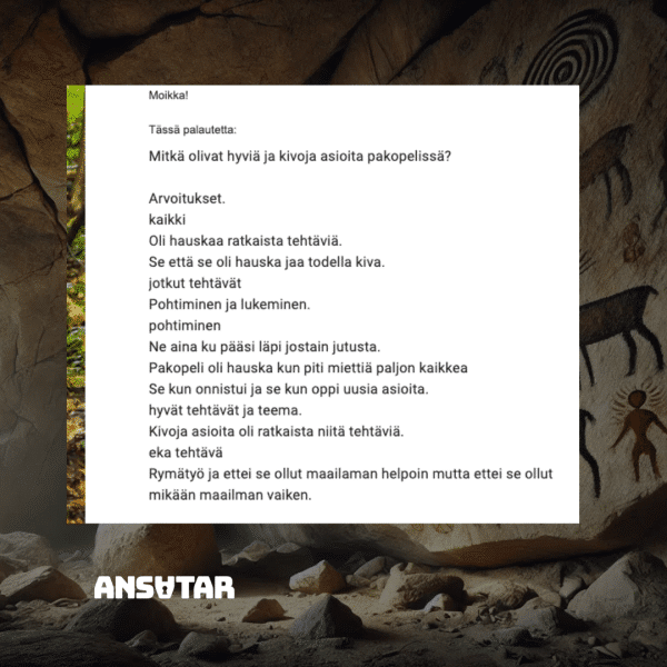 Opettajille: Rehtorin aikakone - pakopeli Suomen esihistoriasta - Image 3